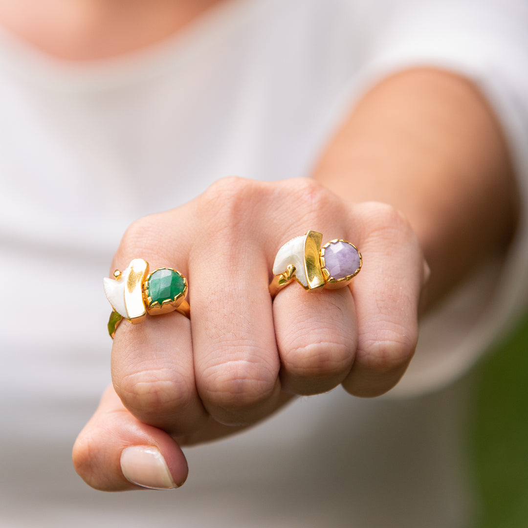 Anillos Skualo
